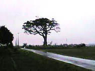 �Q�R��������ڗ���̑��