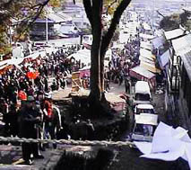 ���x��Ё@���U���Ƃ��̂��炢�B