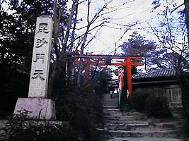 ������V�̓����