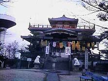 ������V�̖{��