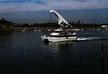 �I�[�X�g�����A�ق��o�b�N��