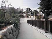 �ŋߍ��ꂽ�΂���B�B�B