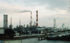 ���P�Y�̑�O�R���r�i�[�g