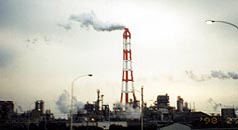 ���l�̑��R���r�i�[�g�̂����ꕔ��