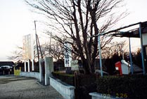 �K���������