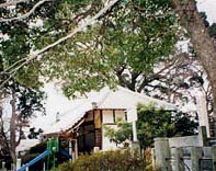 �o�ˌ����̑S��