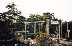 �X�|�[�c�����h�A�A�X���`�b�N������