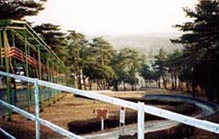 �Ƃ��Ă���������������