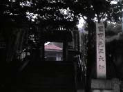 �ω����̓����