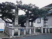 �ɐ��Ɍ������Ă��Q�肵���Ƃ����L�O��i���͌͂�܂����j