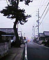 ���i�Ɏc��A�����؂̈ꕔ