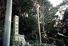 ���}�g�^�P���m�~�R�g������ď��������