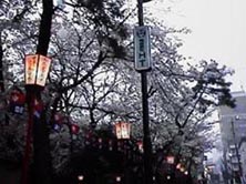 �L�X�����B������y���߂�