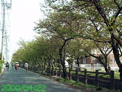 �\�l��^�S���Q�Q��