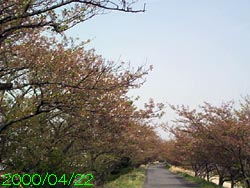 �C����^�S���Q�Q��