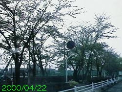 �����^�S���Q�Q��