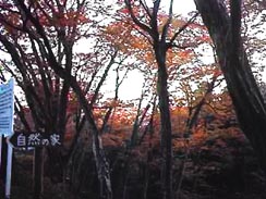 ���݂��J�i����n��j