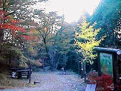 �{�ȋ��ɂ����O�ɂ���x�e���i�g�t�̖����j