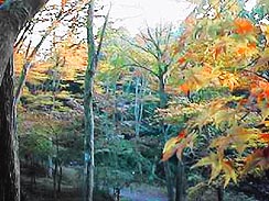 ���݂��J�i����n��j