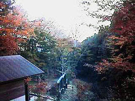 ���݂��J99�i����n��j