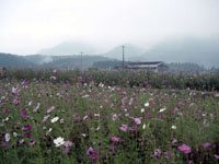 �Ԗ쒬�R�X���X���@�P�O���Q�W�����