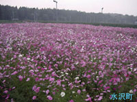 �P�O���Q�W��