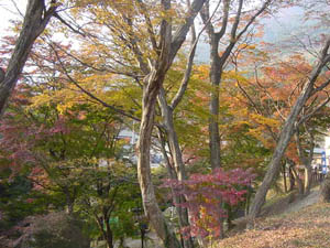 �P�P���Q�R��