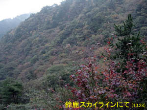 �P�O���Q�W��