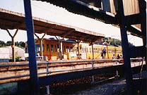 �O��S���B�R��w�ɂāB