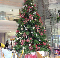 �A���X�N�G�A�E��̍L��