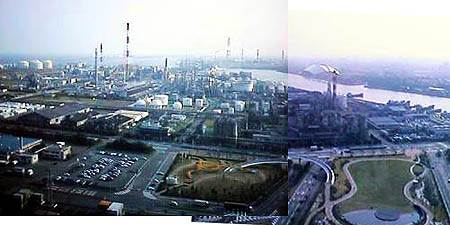 �|�[�g�r������